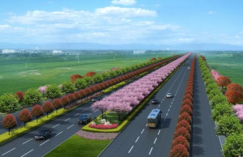 新機(jī)場(chǎng)大道景觀綠化工程正式開(kāi)工，打造城市生態(tài)走廊